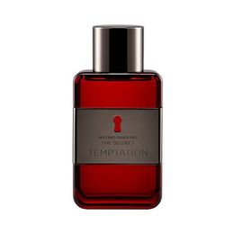 The Secret Temptation Masculino EDT